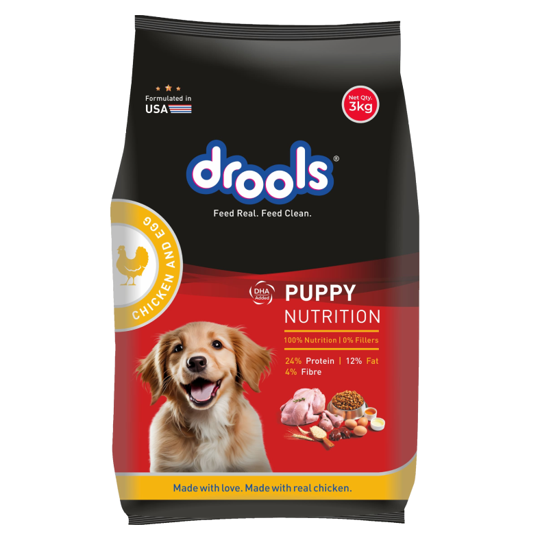 DROOLS PUPPY